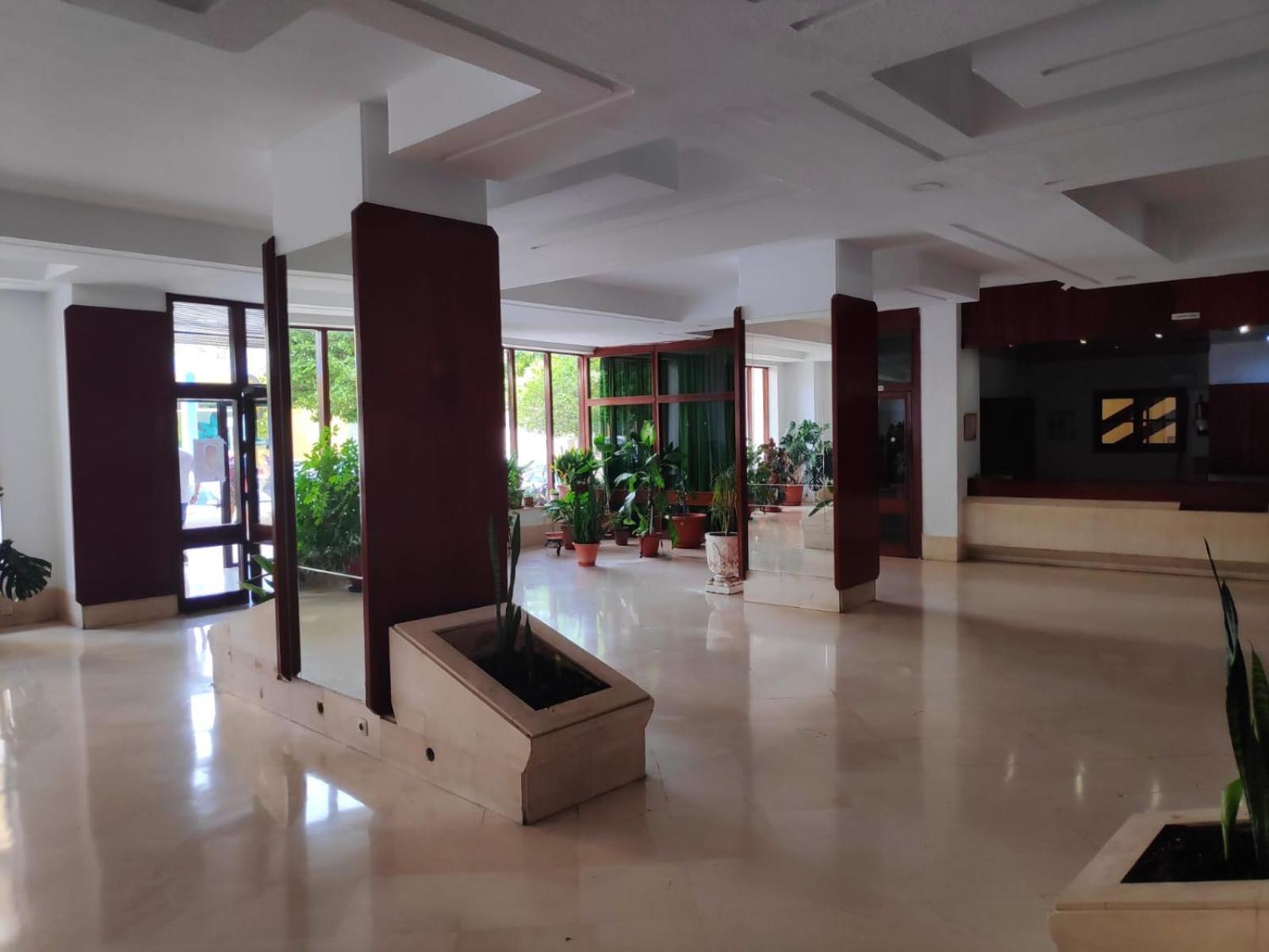 Ver1 - Terraza - 1 Dorm - Wifi - Centro A 100 Metros - Playa A 600 Metros トレモリノス エクステリア 写真